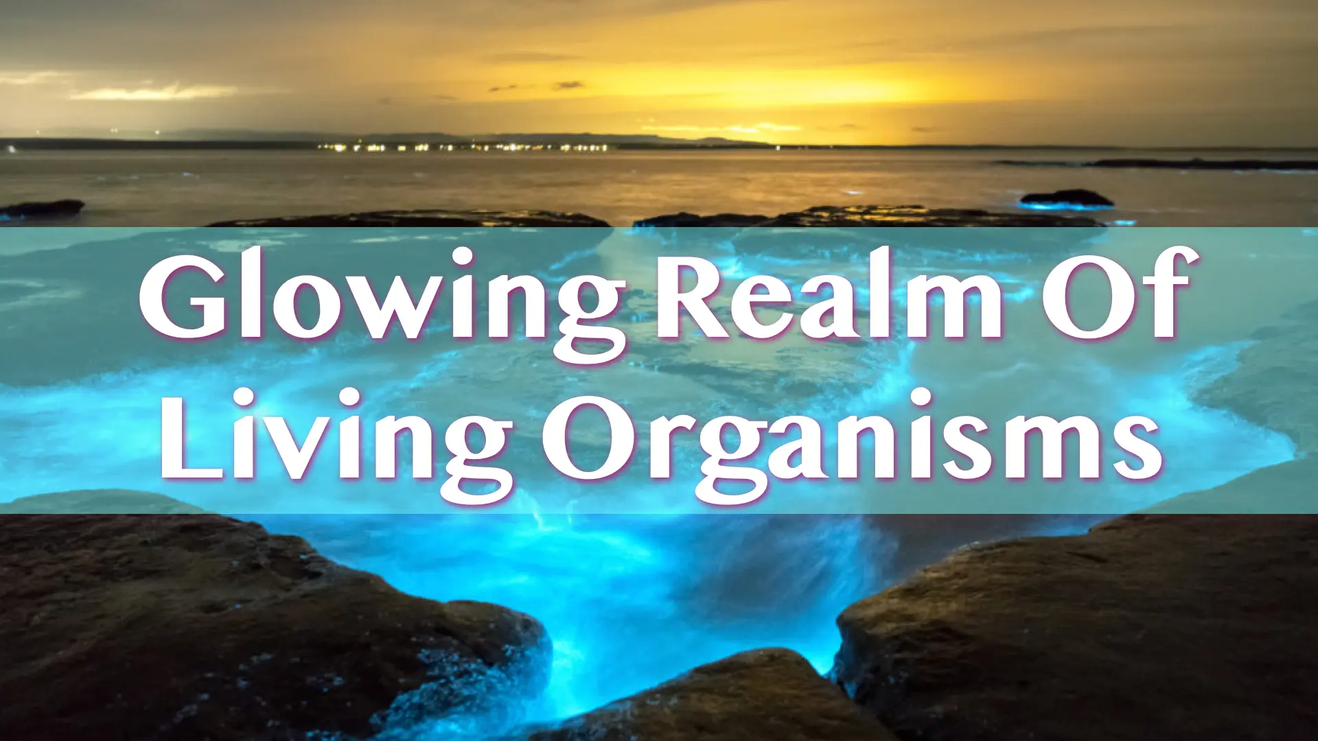 A Journey into the Glowing Realm of Living Organisms