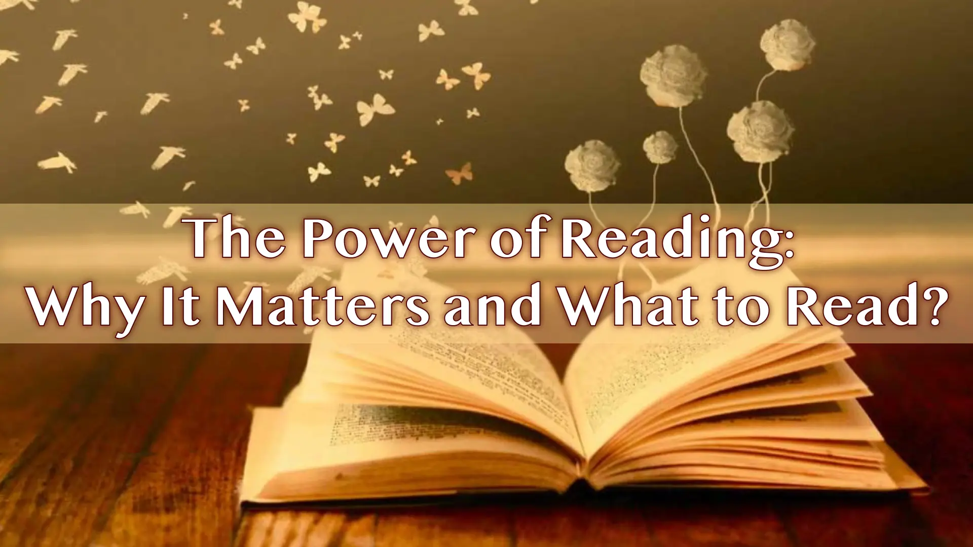 The Power of Reading: Why It Matters and What to Read?